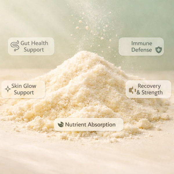 Rooted Wellness Colostrum Boost Powder